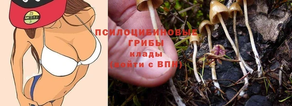 jwh Верея