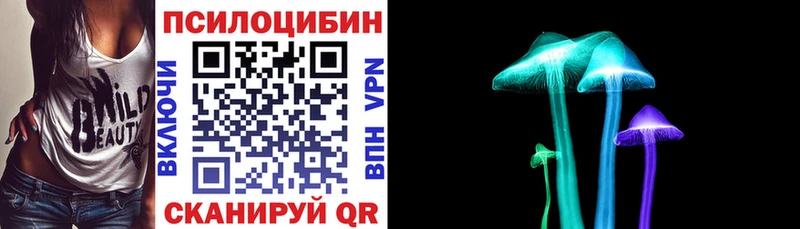 Псилоцибиновые грибы Psilocybine cubensis  магазин продажи наркотиков  Новосибирск 